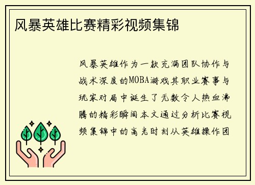 风暴英雄比赛精彩视频集锦